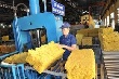 Cần xây dựng sản phẩm chiến lược quốc gia cho ngành cao su